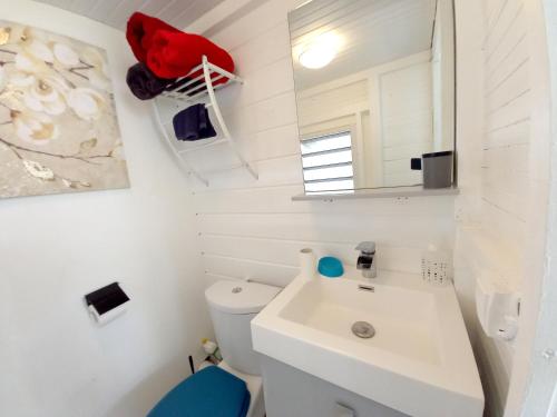 ブイヤントにあるVilla élégante à Bouillante avec piscine privéeの白い洗面台と鏡のあるバスルーム