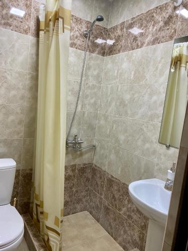 a bathroom with a shower and a toilet and a sink at Noravank B&B in Chʼiva