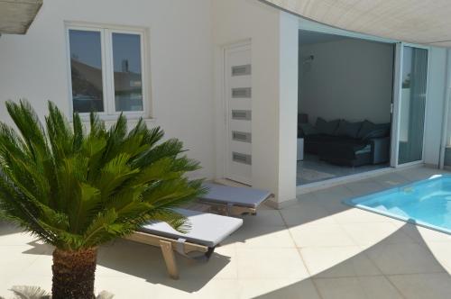a patio with a palm tree and a swimming pool at Lipa Mare in Solin
