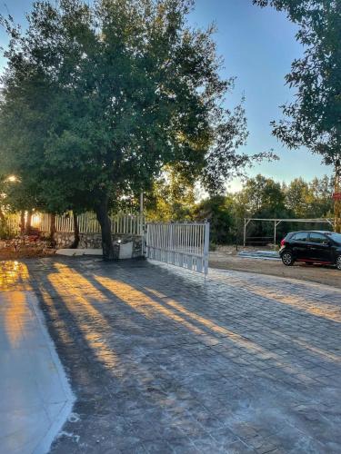 a tree in a driveway with a fence and a car at Beit Mema in Aḑ Ḑahr