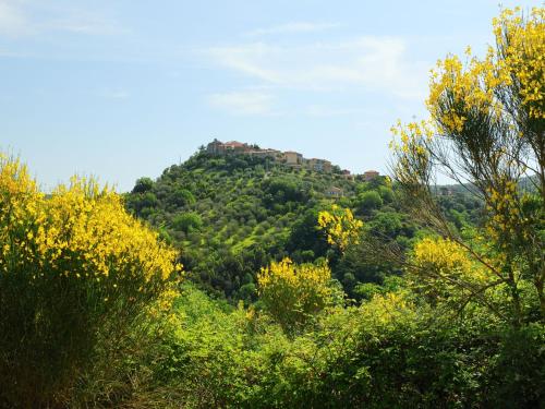 a building on top of a hill with trees at Holiday Home Poggio Velluto by Interhome in Seggiano
