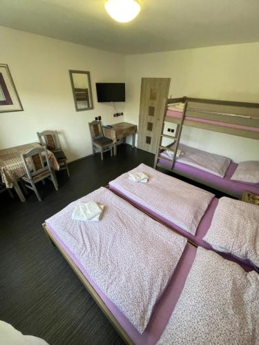 a bedroom with two bunk beds and a table and chairs at MAXOVO KRÁLOVSTVÍ in Rovensko pod Troskami