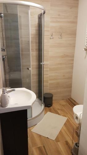 a bathroom with a sink and a shower at Dom O Niebieskich Okiennicach in Gryfów Śląski