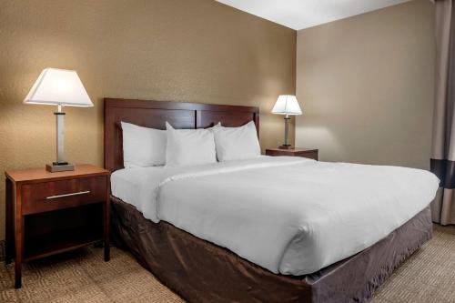 Katil atau katil-katil dalam bilik di Comfort Inn & Suites DeLand - near University