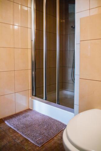 a bathroom with a shower with a toilet and a rug at Apartamenty Madzia in Wisła
