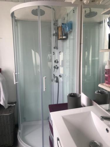 a bathroom with a shower and a sink at Chambre julia chez l habitant lits séparés in Dieppe