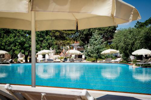 a swimming pool with chairs and umbrellas at Orosei Summer Holidays - Cala del Turco green house in Orosei