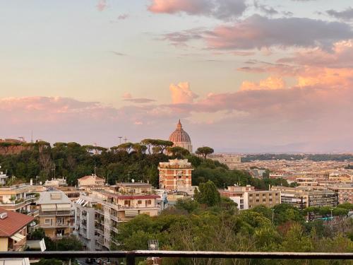 Attico vista San Pietro