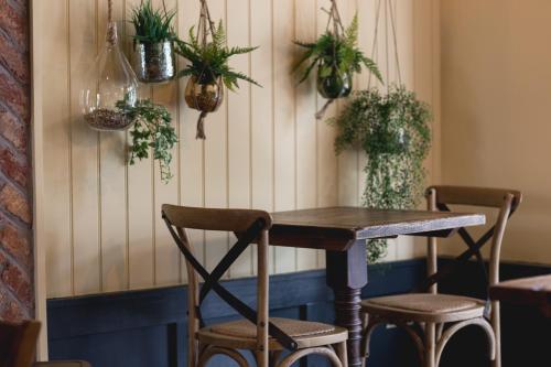 Pontcanna Inn photo 35