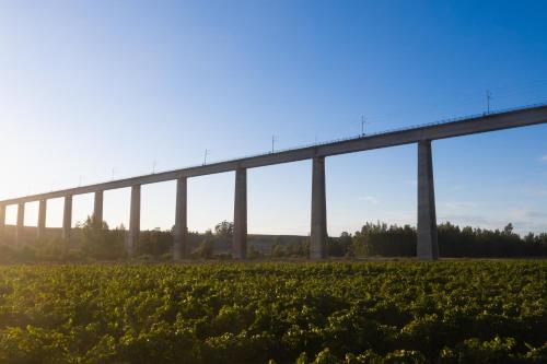 a bridge over a field of crops at Melkboomsdrift Guest House & Conference Centre in Vredendal