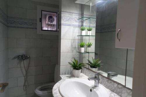 カリムノスにあるCasa Biancaのバスルーム(シンク、鉢植えのトイレ付)