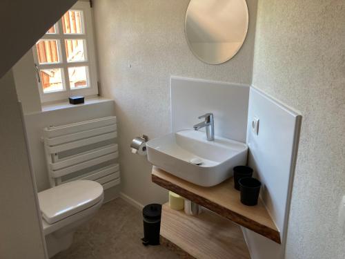 Un baño con lavabo, inodoro y espejo. en Kellerstöckl, en Leutschach