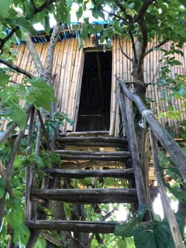 a wooden staircase leading up to a tree house at Eagle Nest in Martvili