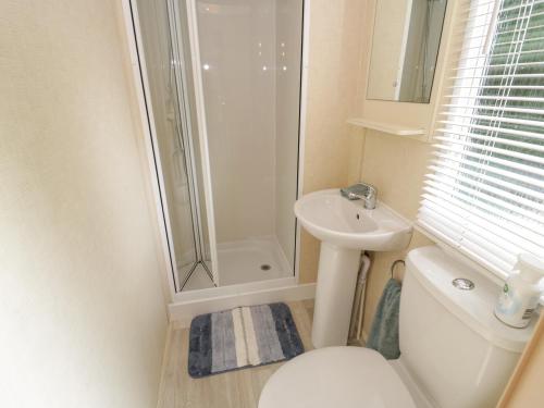 a bathroom with a shower and a toilet and a sink at Vista in Moelfre