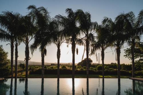a group of palm trees in front of a pool at Casa di Melo - Organic Country Hotel in Cassibile