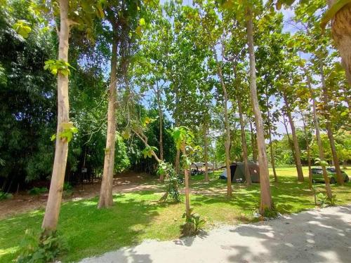 a park with trees and a tent in the grass at บ้านย่า ณ ท่าไทร in Si Racha