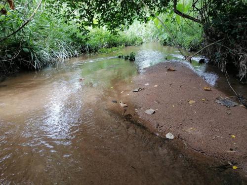 un arroyo de agua con una playa de arena y árboles en บ้านย่า ณ ท่าไทร, en Si Racha