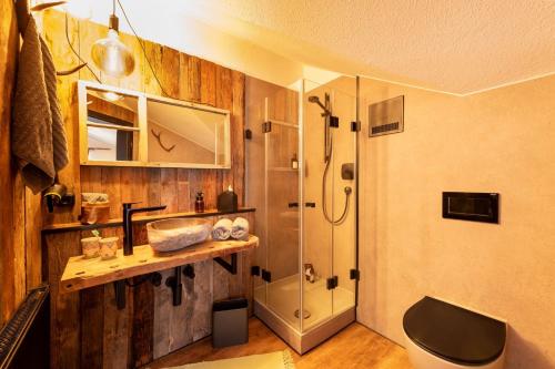 een badkamer met een douche, een wastafel en een toilet bij Desiree`s Dahuim in Bad Hindelang