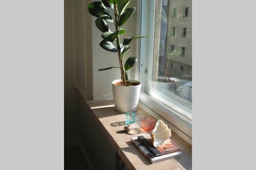 une plante en pot assise sur un rebord de fenêtre dans l'établissement Beautiful design studio in the heart of Kallio, à Helsinki