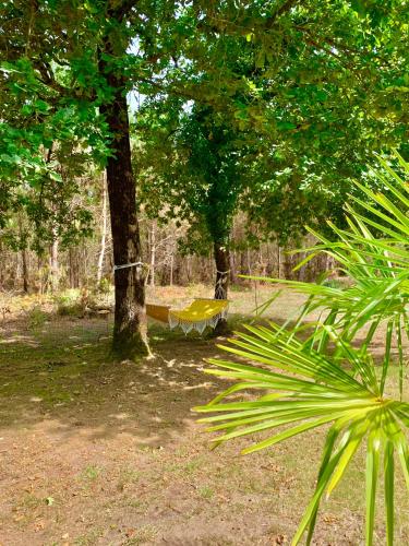 Κήπος έξω από το Hacienda de la Canopée avec piscine chauffée au sel