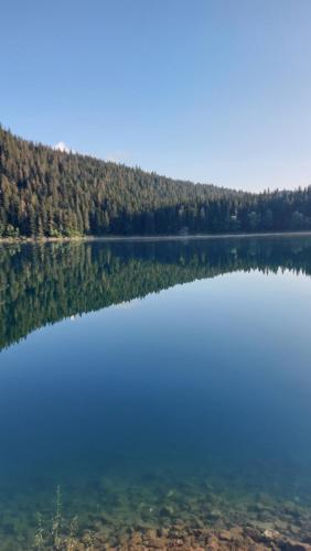 a large body of water with trees in the background at Guest House Milena in Žabljak