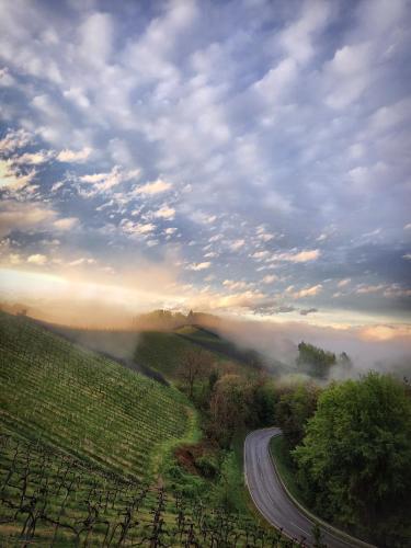 Weingut Winzerzimmer Toso – Photos 2