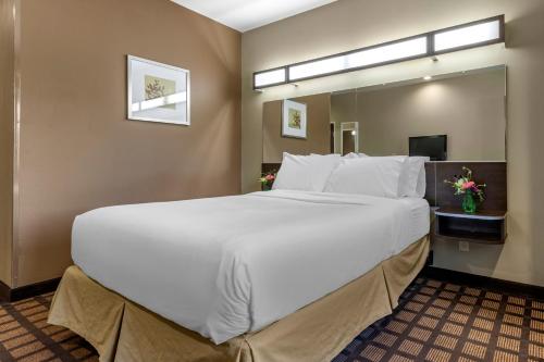 a large white bed in a hotel room at Microtel Inn & Suites Dillsboro/Sylva in Dillsboro