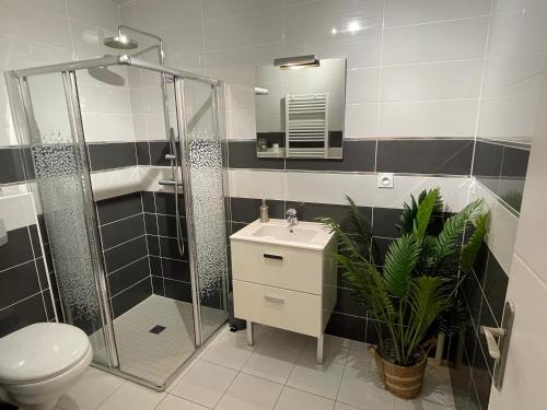 y baño con lavabo, ducha y aseo. en Studio calme et cosy, en Saint-Julien-les-Villas