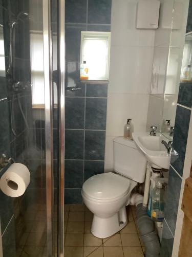 uma casa de banho com um WC e um lavatório em Primrose Villa self catering bnb em Monmouth