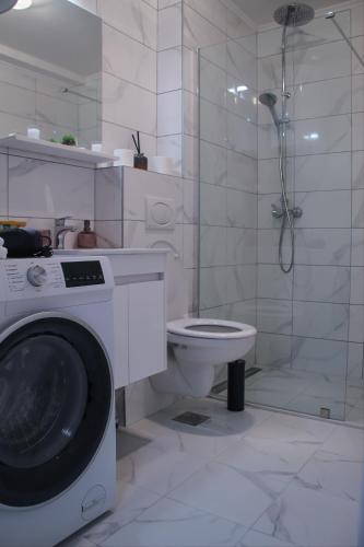 un bagno con lavatrice e WC di Apartman Vuković a Trebinje