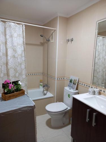 ein Badezimmer mit Toilette, Waschbecken und Dusche in der Unterkunft Apartamento ROMERO Cabo Roig, solárium opcional in Orihuela