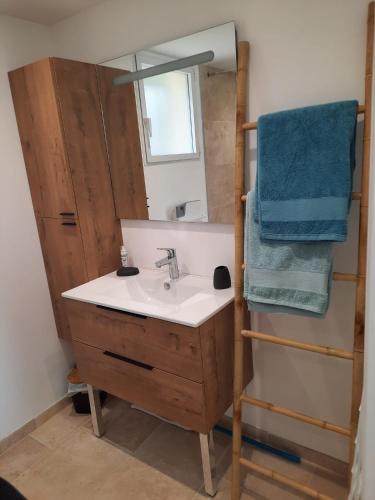 une salle de bain avec un lavabo et un miroir dans l'établissement Studios indépendants dans grand Domaine en pleine nature, à Simiane-Collongue
