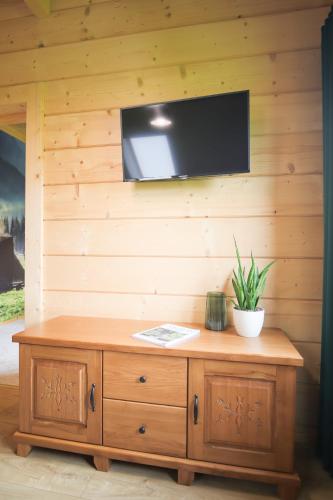a television on a wooden wall with a wooden cabinet at Apartamenty Augustynówka in Brzegi
