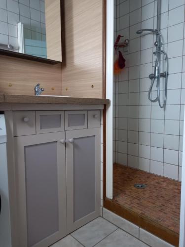 ein Bad mit einem Waschbecken und einer Dusche in der Unterkunft l'IOasis, location saisonnière ouverte toute l'année sur l'Ile d'Oléron in Dolus d'Oléron