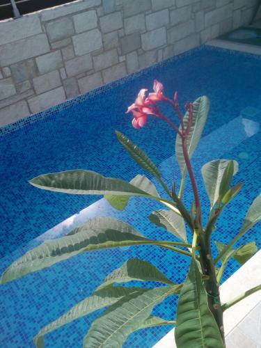 Piscina di “Theeporto” Maisonette with pool o nelle vicinanze