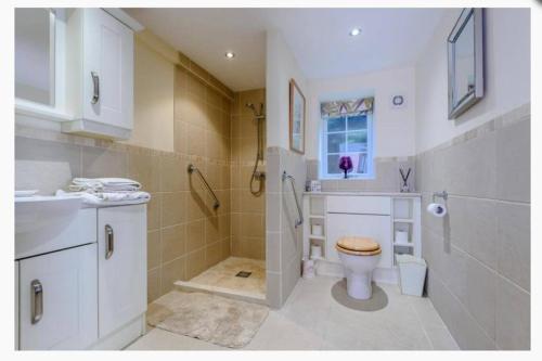 y baño con aseo, ducha y lavamanos. en Adorable 2 bedroom countryside guesthouse en Broom