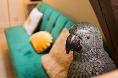 a grey parrot sitting on a green couch at Rempart Doré in Saint Malo