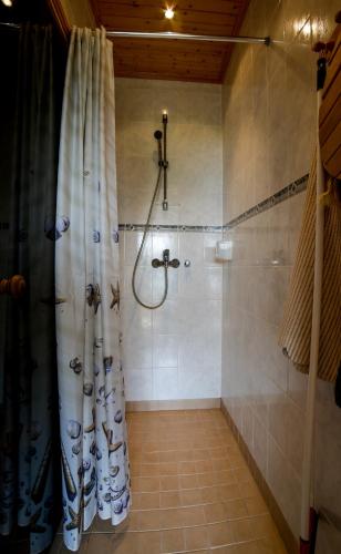 a bathroom with a shower with a shower curtain at Puise Nina Guest House in Puise