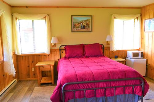 Gallery image of Twin Peaks Guest Ranch in Salmon