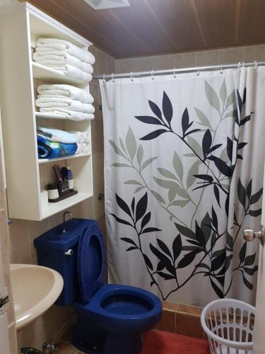 a bathroom with a blue toilet and a shower curtain at Lee's comfort house in Chalan Kanoa