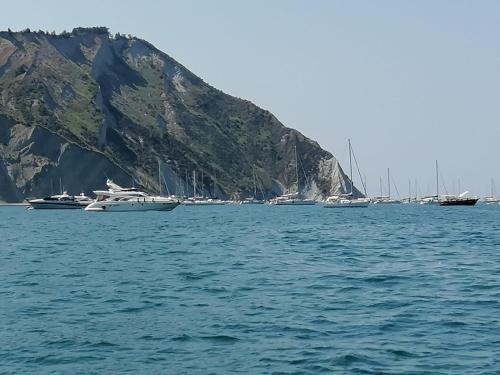 a group of boats in the water near a mountain at Il Piccolo Uliveto del Conero in Camerano