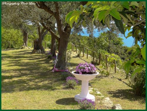 Villa Pierina – Photos 3