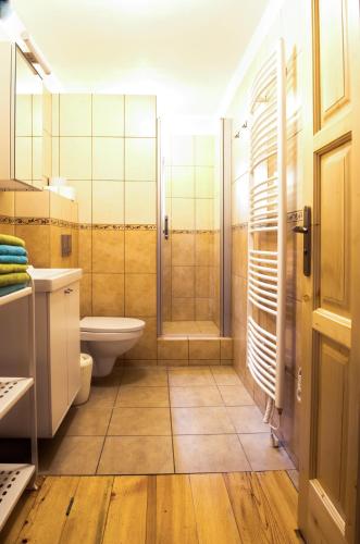 a bathroom with a shower and a toilet and a sink at Chalupa Barborka in Mezimesti