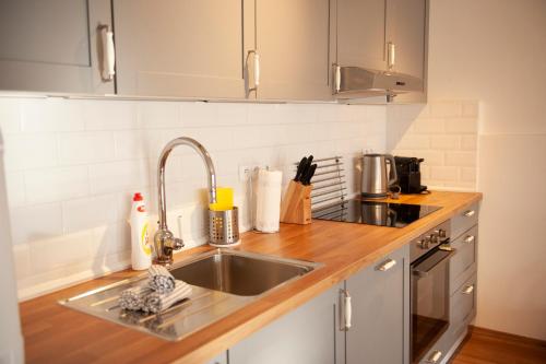 a kitchen with a sink and a counter top at Chalupa Barborka in Mezimesti