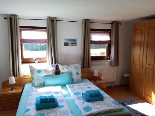 een slaapkamer met een bed met blauwe en witte kussens bij Ferienhaus Waldblick in Hohenberg an der Eger