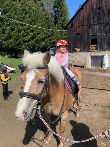 a little girl riding on the back of a horse at Ferienwohnung Graf in Prebl