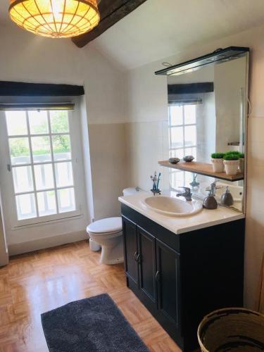 une salle de bain avec un lavabo, des toilettes et un miroir dans l'établissement Au Coeur des Vignes, à Pouillé