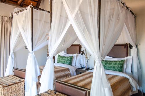 two beds in a bedroom with mosquito nets at Jock Safari Lodge in Skukuza