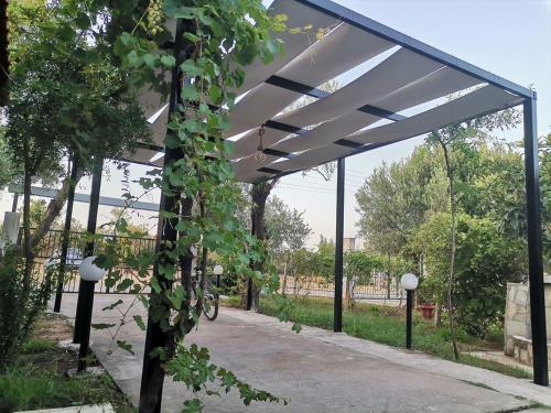 a pergola with ivy growing on it at Country House in Sozopoli