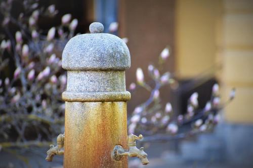 a fire hydrant with snow on top of it at Schlosshotel Marienbad in Mariánské Lázně